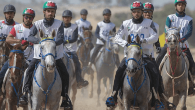 How can I train for an endurance riding race?