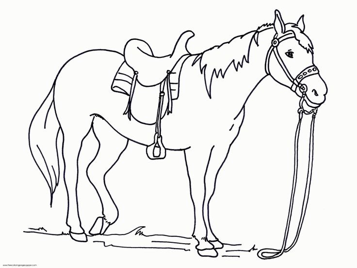 Printable:6oa2mcnnrnu= Horse Coloring Pages