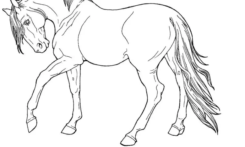 Printable:6oa2mcnnrnu= Horse Coloring Pages