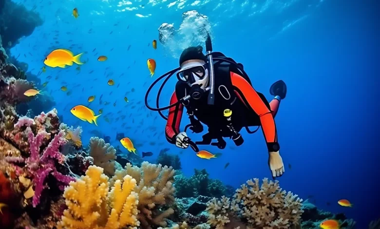 Scuba Dive Training: The Essential Guide to Getting Certified