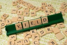 top long term dividend stocks