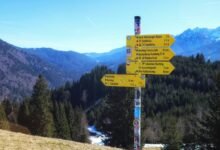 bhagyalaxmi result comprehensive guide