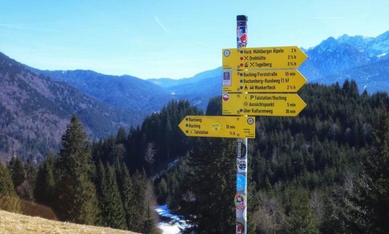 bhagyalaxmi result comprehensive guide