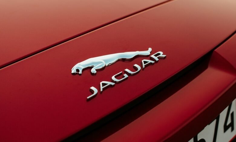 cofemel product specifications revealed