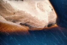 construmadeira features and overview