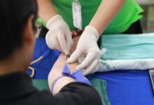 contact and services offered