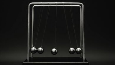 apex beam neural momentum