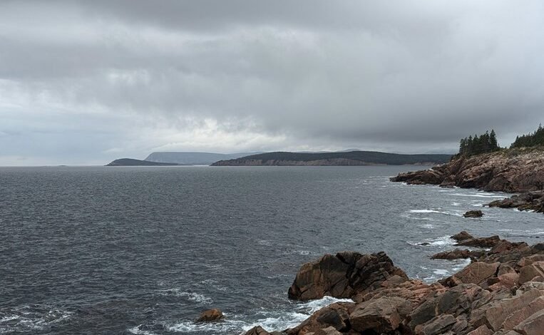 dynamic nova surge vector