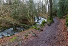 nova flow performance path